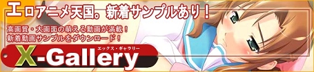 Xギャラリー ＡＶ アダルト動画